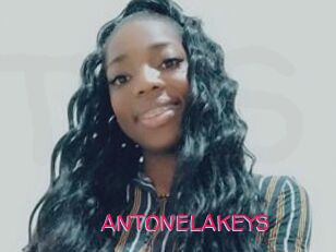 ANTONELAKEYS
