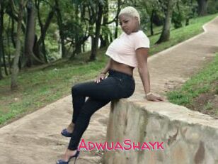 AdwuaShayk