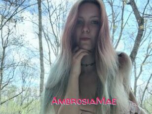 AmbrosiaMae
