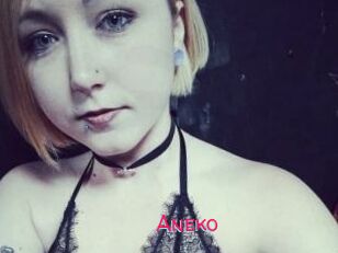Aneko