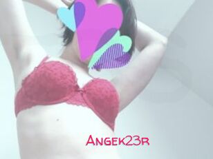 Angek23r