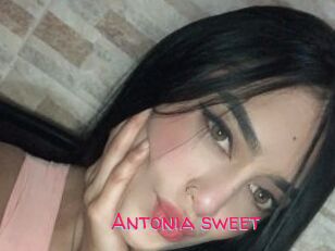 Antonia_sweet