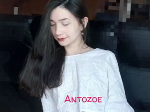 Antozoe
