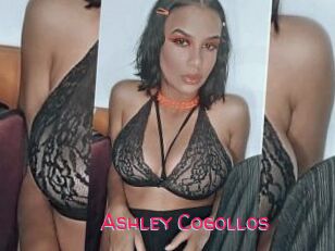 Ashley_Cogollos