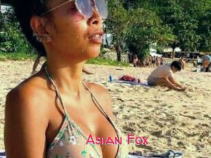 Asian_Fox