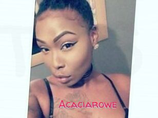 Acacia_rowe