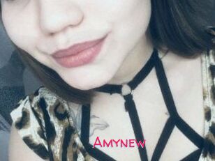 Amynew
