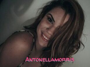 Antonellamorris