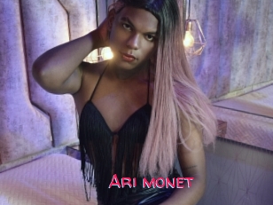 Ari_monet