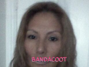 BANDACOOT
