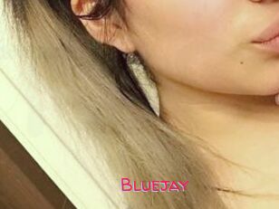 Blue_jay