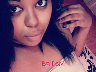 BriDsM