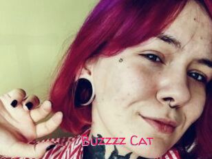 Buzzzz_Cat