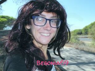 Begonia69