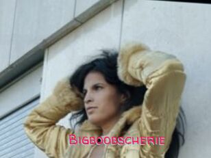 Bigboobscherie