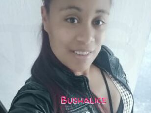 Bushalice