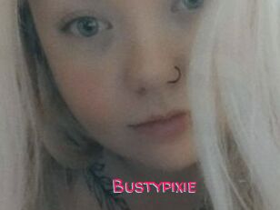 Bustypixie