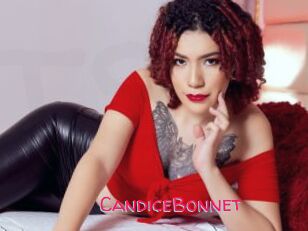 CandiceBonnet