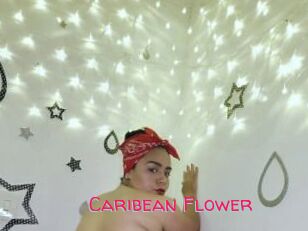 Caribean_Flower