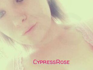 Cypress_Rose
