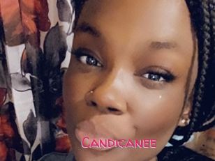 Candicanee