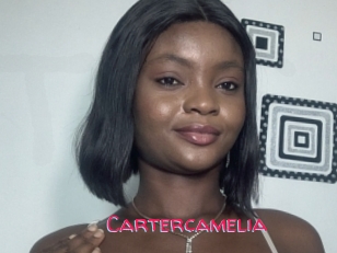 Cartercamelia