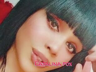 Catalina_fox