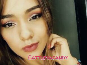 Cattleyacandy