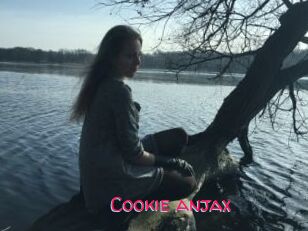 Cookie_anjax