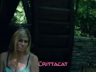 Crittacat