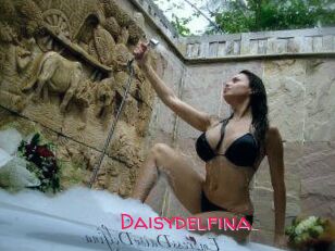 Daisydelfina