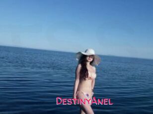 DestinyAnel