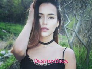 DestinyDina