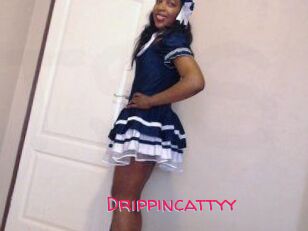 Drippincattyy