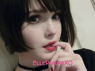 EllePurrsXO