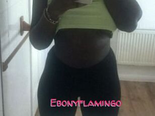 Ebony_flamingo