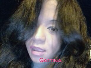 Gattina