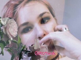 Grothia