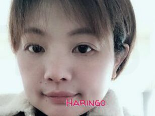 Haringo