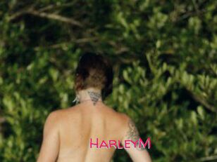 HarleyM