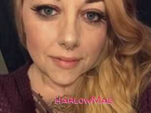 Harlow_Mae
