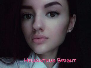 Helianthus_Bright