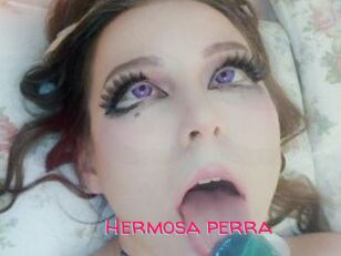 Hermosa_perra