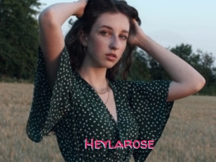 Heylarose