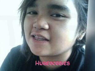 Hugebobbies