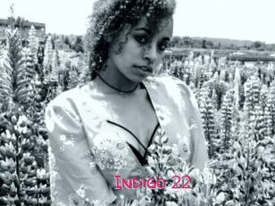 Indigo_22