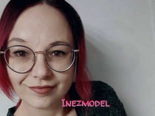 Inezmodel