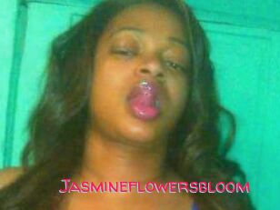 Jasmineflowersbloom