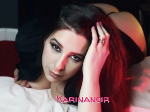 Karinanoir