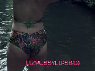 LIZPUSSYLIPSBIG